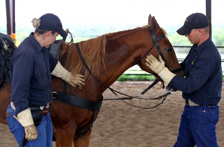 2012 Bivouac and National Cavalry Competition